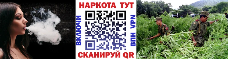 Наркошоп купить Галлюциногенные грибы  Кокаин  МЕТАДОН  ГАШ  СОЛЬ  Меф мяу мяу  Конаково