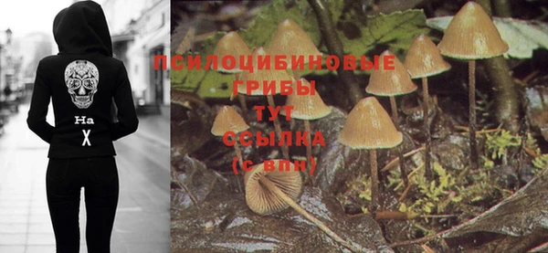 стаф Горнозаводск